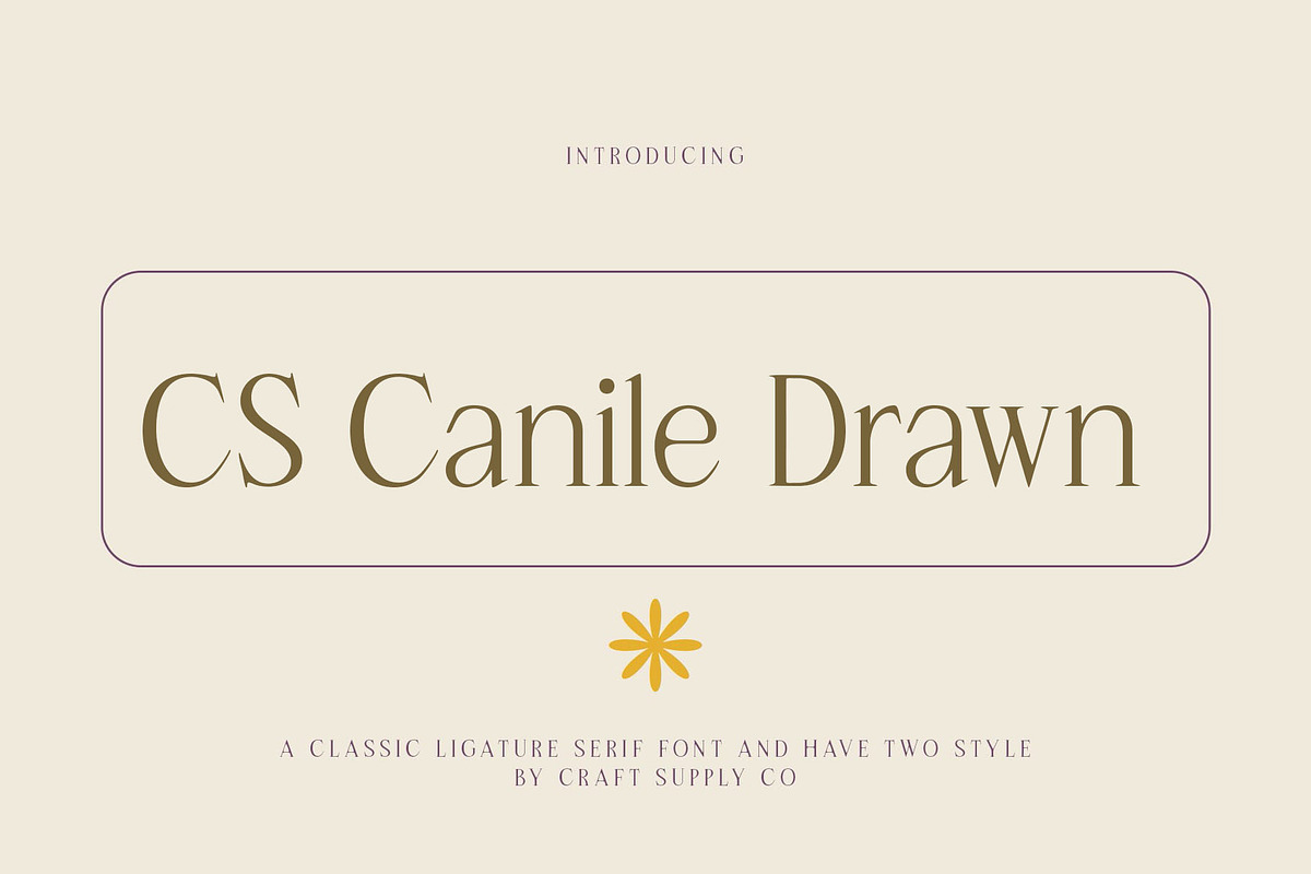 CS Canile Drawn, a Serif Font by Craft Supply Co. (Photo 1 of 8)