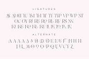 Asfire – Elegant Ligature Serif Font, a Serif Font by Issam Type (Thumbnail 11 of 12)
