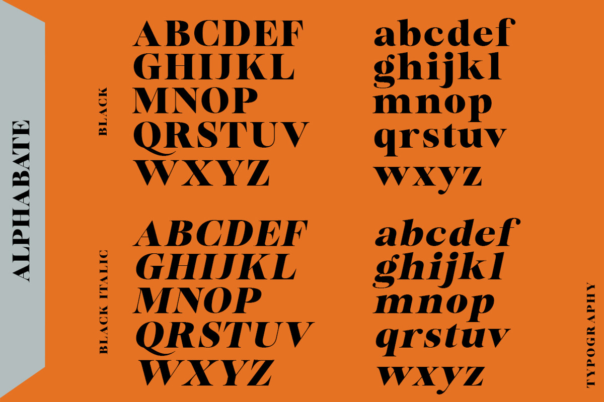 Bailsun, a Serif Font by Gatype (Photo 6 of 10)