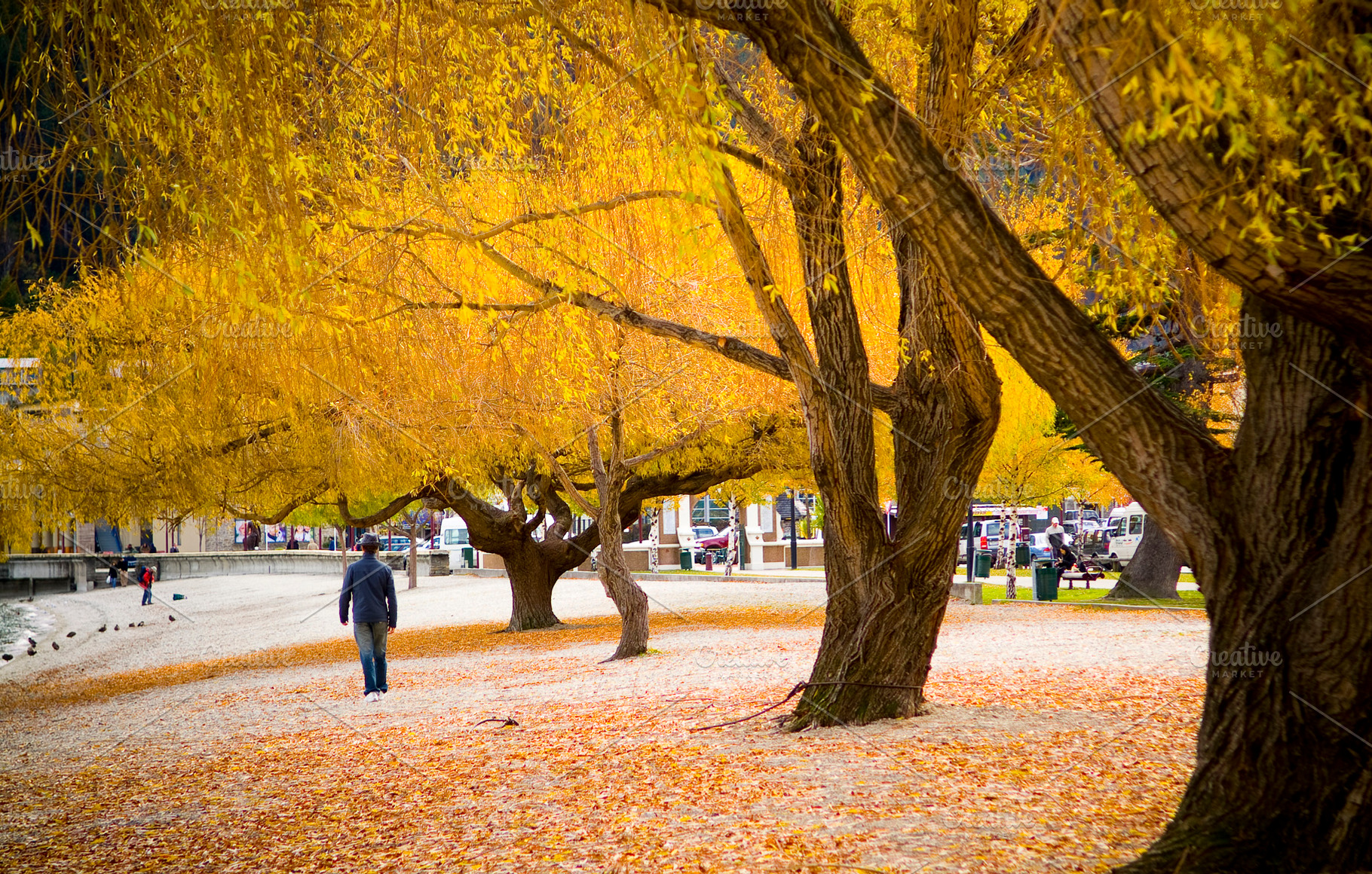 Man On Autumn Stroll, a Person Photo by THP Creative