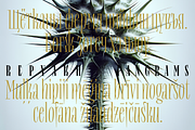 Repyakh Serif type family, a Serif Font by LevType (Thumbnail 6 of 14)