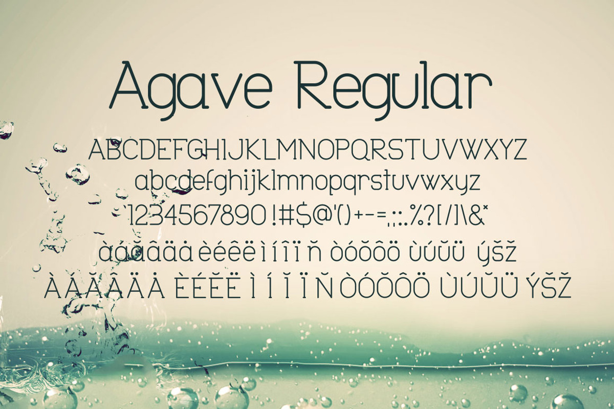 Agave Font Trio preview 4