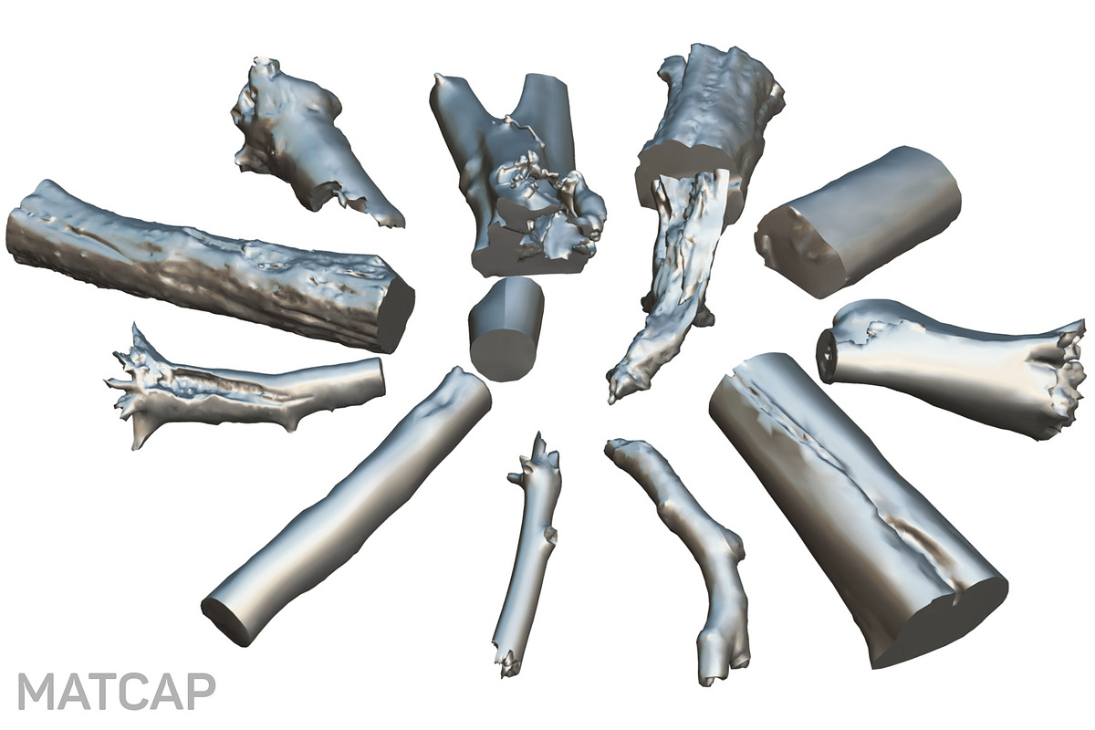 13 Tree Logs, an Environmental 3D Model by Beatheart Creative Studio (Photo 9 of 37)