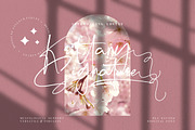 Krittany Signature Business Font, a Script Font by KennedyStudio (Thumbnail 1 of 11)