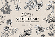 Apothecary Plants & Herbs Vector Set, a Healthcare Illustration by Yevheniia (Thumbnail 1 of 11)