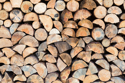 Wooden logs featuring wood, wooden, and cut, a Nature Photo by SunnyDay