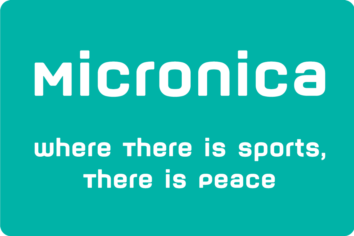 Micronica 2010