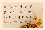 Phaedra // A Retro Serif Typeface, a Serif Font by Megs Lang (Thumbnail 10 of 17)