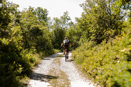 Cyclist on forest path, a Sports & Recreation Photo by Bepslabor