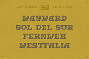 FERNWOOD FERNIE DISPLAY, a Serif Font by Abby Leighton Studio (Thumbnail 4 of 5)