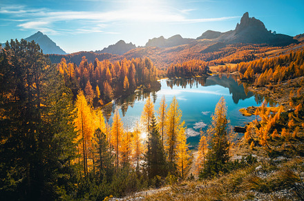 Colorful larch forest and small lake, a Nature Photo by Alpine Dreams