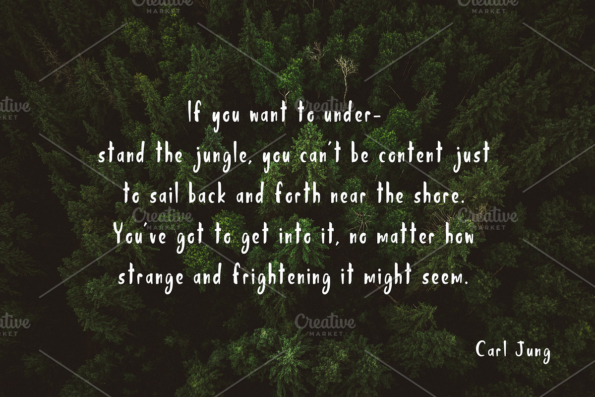 Jungle Display Font, a Script Font by Nadezda (Photo 4 of 8)
