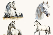 Watercolor Horses Clipart Bundle, an Animal Illustration by Design Scotch (Thumbnail 6 of 8)