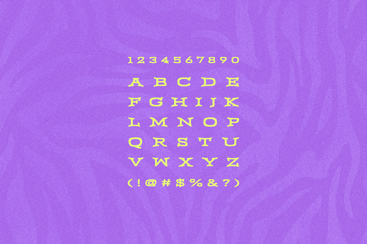 MWM Bones, a Font by mikewillsmakes (Photo 2 of 5)
