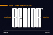Senior - Elegant & Condensed Sans, a Sans Serif Font by Almeera Std (Thumbnail 1 of 6)