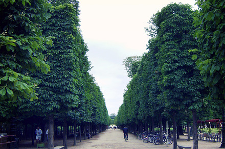 Chairs In Jardin Du Luxembourg preview 5