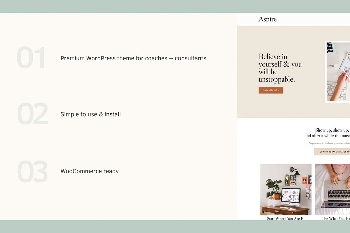 Aspire WordPress Theme, a WordPress Template by KOBA themes (Photo 4 of 6)
