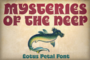 Lotus Petal Font, a Serif Font by Mysterylab Designs (Thumbnail 4 of 5)
