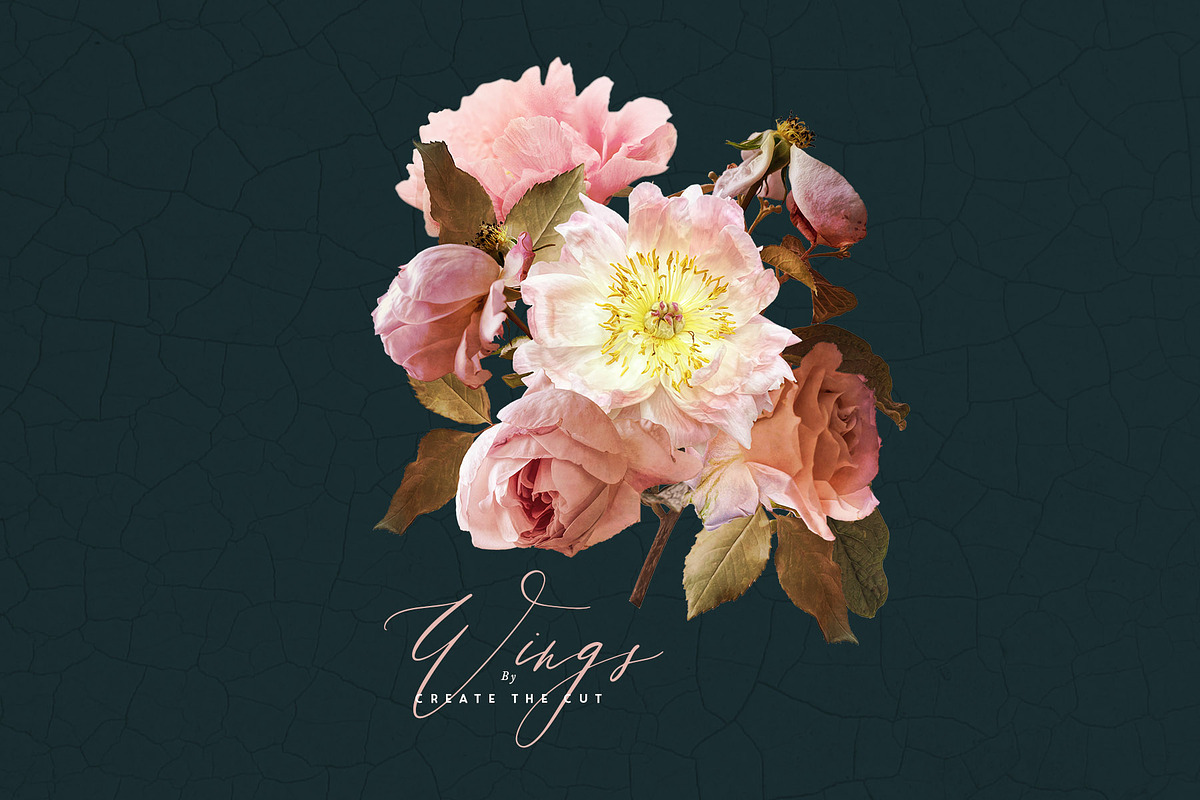 Digital Flower Clip Art - Wings, an Illustration by Create The Cut (Photo 10 of 10)