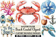 Watercolor Beach Coastal Clipart, an Illustration by Craft Nest (Thumbnail 1 of 4)