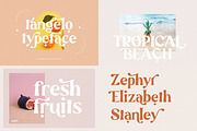 Modern Elegant Font Bundle 2, a Serif Font by Sans & Sons (Thumbnail 5 of 11)
