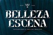 Dinamika - Modern Display Font, a Serif Font by Say Studio (Thumbnail 4 of 10)
