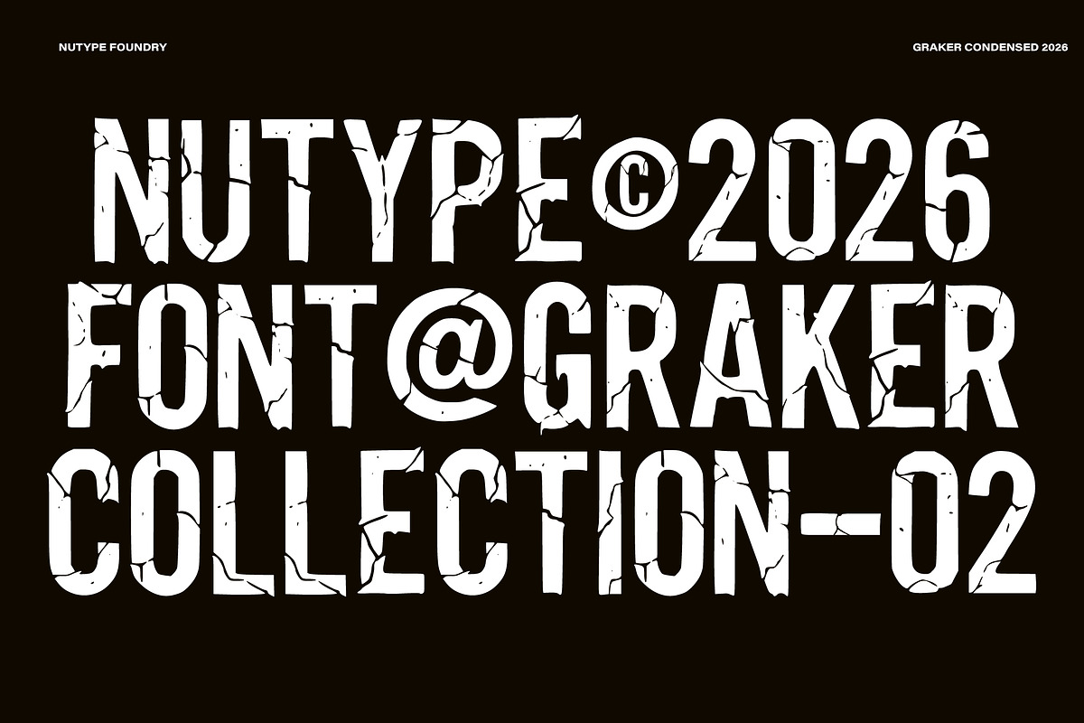 Graker - Condensed Display Type, a Sans Serif Font by NuType (Photo 11 of 12)