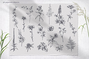 Wildflower Meadow Vector Set, a Decorative Illustration by Molly art (Thumbnail 3 of 12)