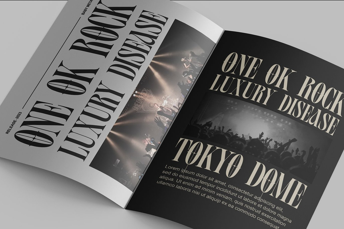 Agitton - Ligature Serif, a Serif Font by Luna Shop (Photo 6 of 6)