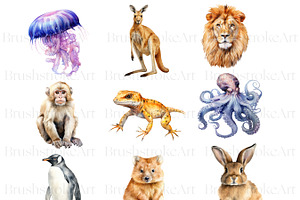 Watercolor A-Z Animals, Bear, Lion