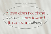 Analogi serif, a Serif Font by Soft Creative (Thumbnail 11 of 13)