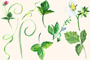 Watercolor Strawberry Clip art, a Food Illustration by DollyPotterson (Thumbnail 5 of 8)