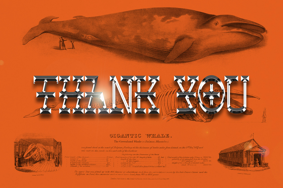 DE BREEDS, a Font by Tegh co. (Photo 15 of 15)