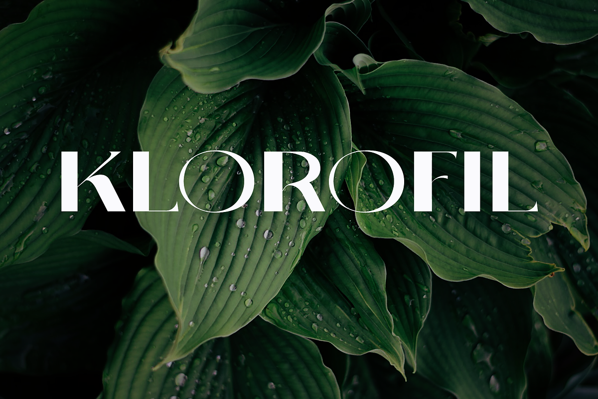 Anexis - Sans Serif Font, a Sans Serif Font by ivan_artnivora (Photo 4 of 5)