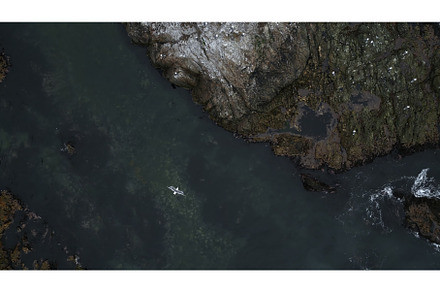 Top view of flying seagulls on rocky, a Nature Photo by Media Whale Stock