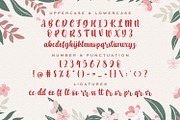 Arthur Taniya - Calligraphy Font, a Script Font by StringLabs (Thumbnail 8 of 10)