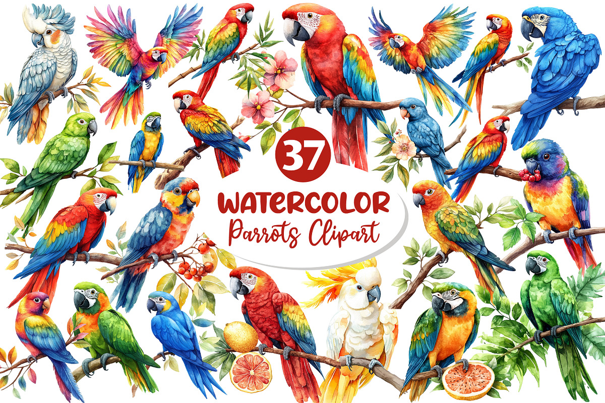 Parrots Watercolor Clipart,, an Illustration by Dream Creation (Photo 1 of 7)