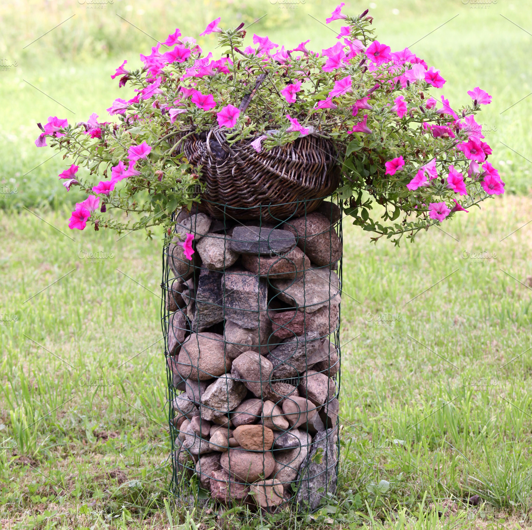 Flower decoration, a Nature Photo by BOOCYS