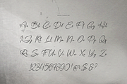 The Dearling | Handwritten Script, a Script Font by gracetype_studio (Thumbnail 10 of 12)