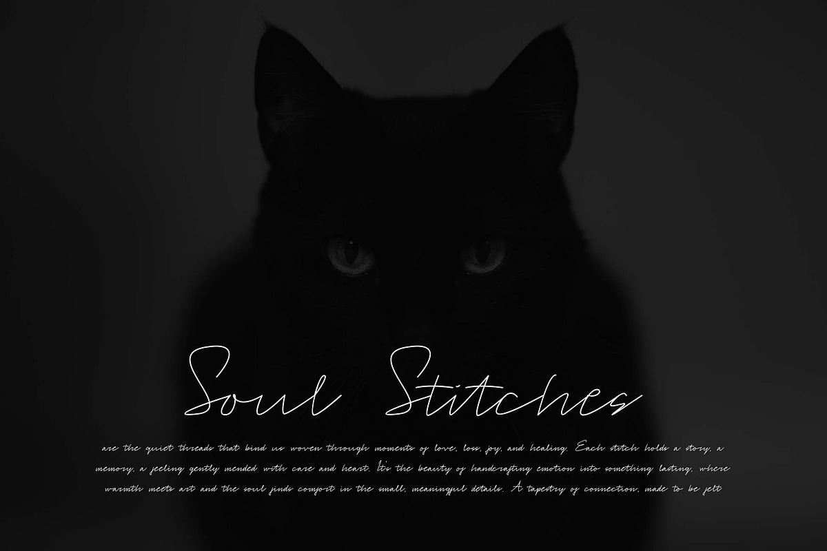 Tulisha | Monoline & Brush Script, a Script Font by Jadatype.id (Photo 4 of 7)