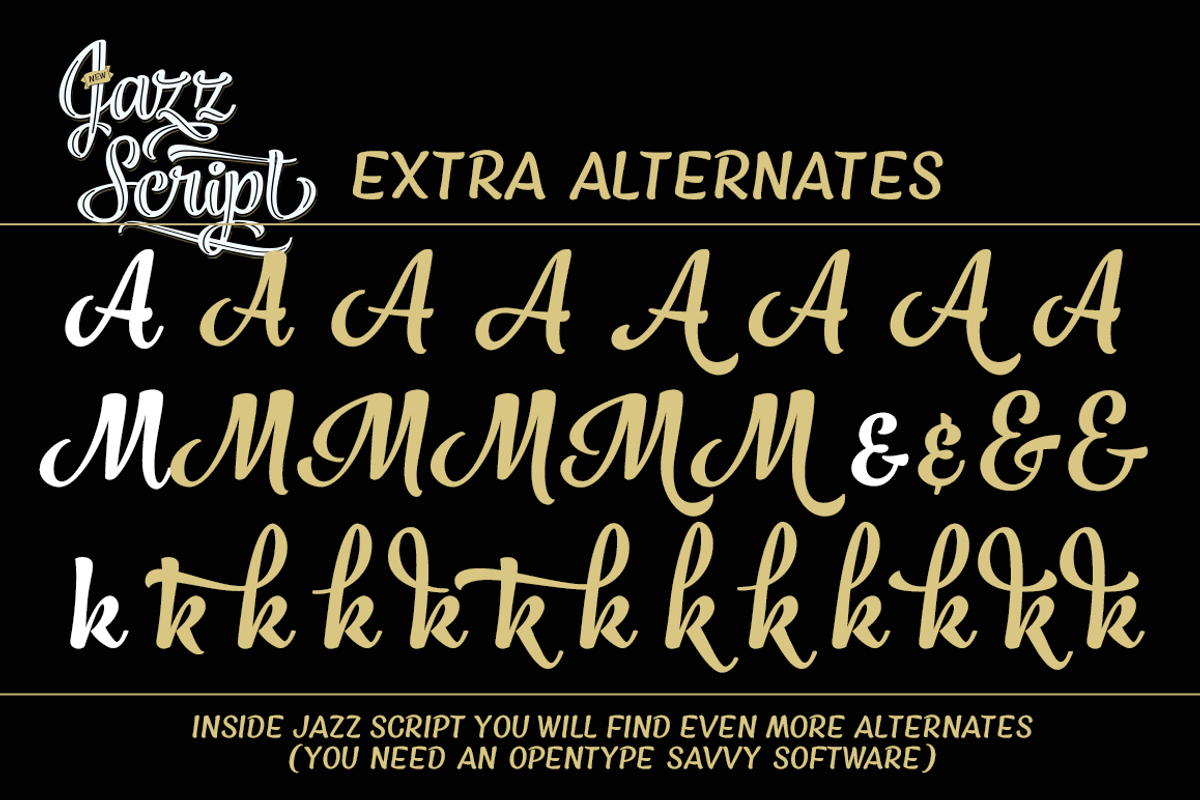Jazz Script 12 fonts + extras -40% preview 7