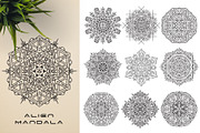 300 Vector Mandala Ornaments, a Decorative Illustration by pixaroma (Thumbnail 17 of 49)