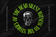 Ehkofa Modern Display Serif Font, a Serif Font by timelesstype.co (Thumbnail 3 of 20)