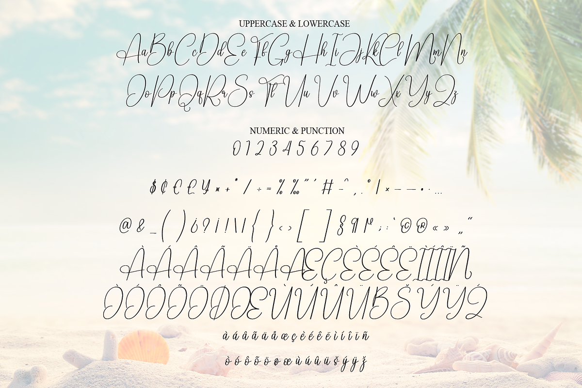 Angel Beach | Script Font, a Handwritten Font by Scratchones (Photo 7 of 8)