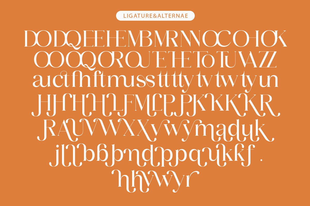 Aihuner, a Serif Font by Propertype (Photo 5 of 10)