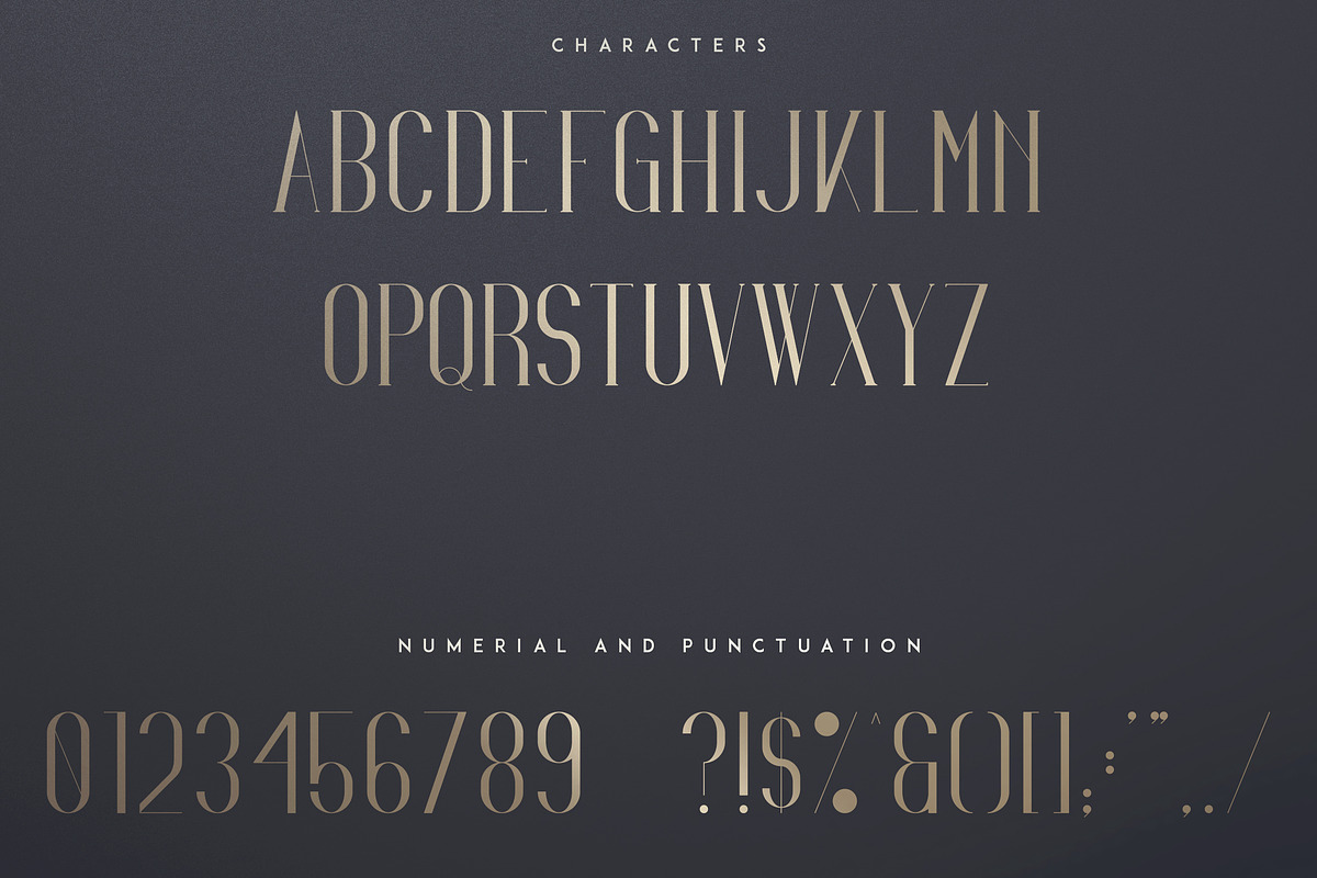 Irina Luxe Serif Font -30% preview 8