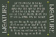 Dellucion, a Serif Font by Burntilldead (Thumbnail 8 of 13)