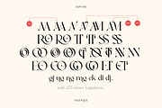 Vastyque - Modern Ligatures Serif, a Serif Font by Vesvocrea (Thumbnail 11 of 12)