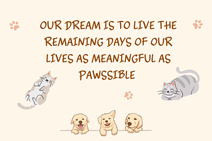 Dog And Cat - Handwritten Font