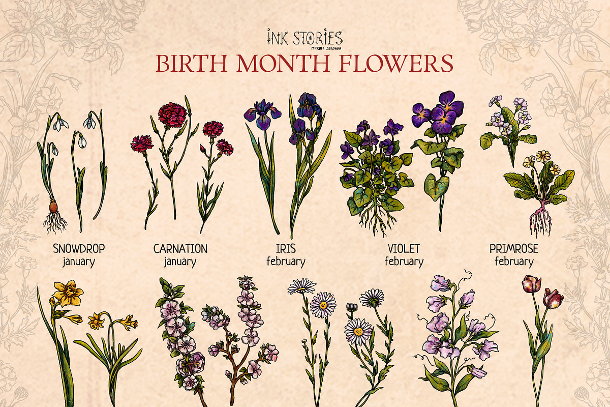 Birth Month Flowers Handcrafted, a Decorative Illustration by Ink Stories (Photo 2 of 15)